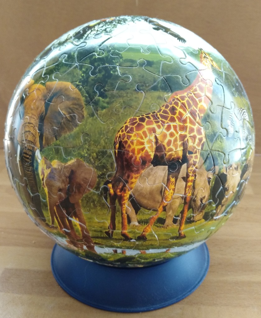 A spherical image showing a group of African savanna animals including a giraffe, elephant, and rhino.