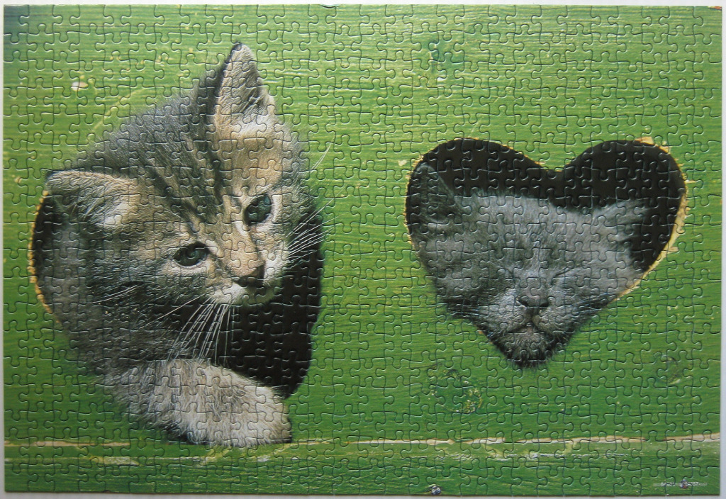 A fluffy grey kitten peering through a hole in a green wooden wall beside a heart-shaped hole showing a sleeping kitten.