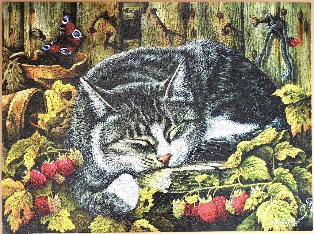 A detailed painting of a grey tabby cat sleeping amidst raspberry bushes and rustic garden items.