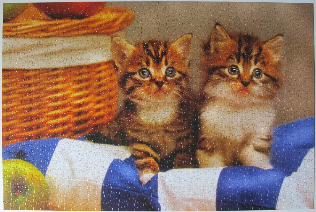 Two fluffy tabby kittens sitting in front of a woven basket and a blue and white striped cloth.