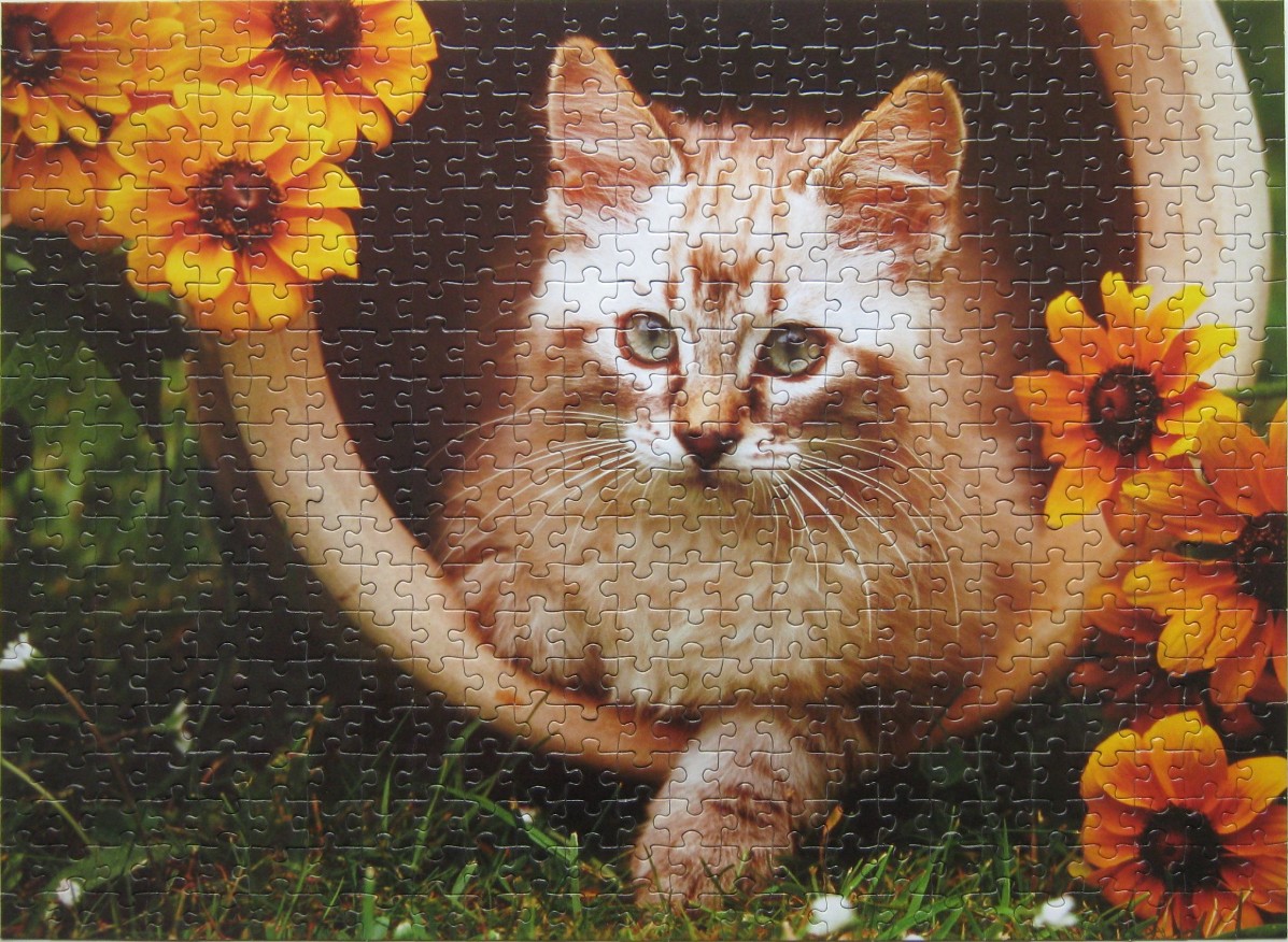 A fluffy ginger-and-white cat resting inside a large ceramic pot surrounded by yellow flowers.