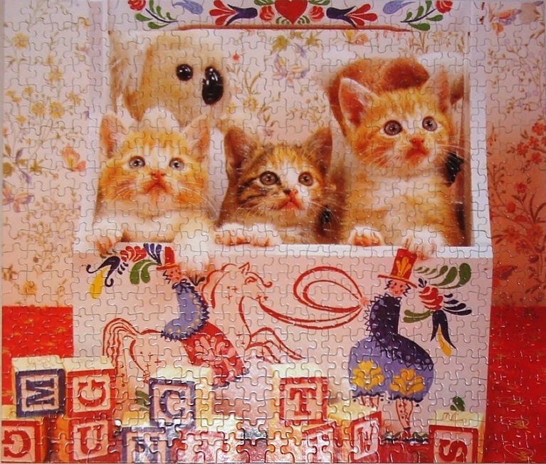 Three kittens sitting inside a white decorative box with alphabet blocks in front.