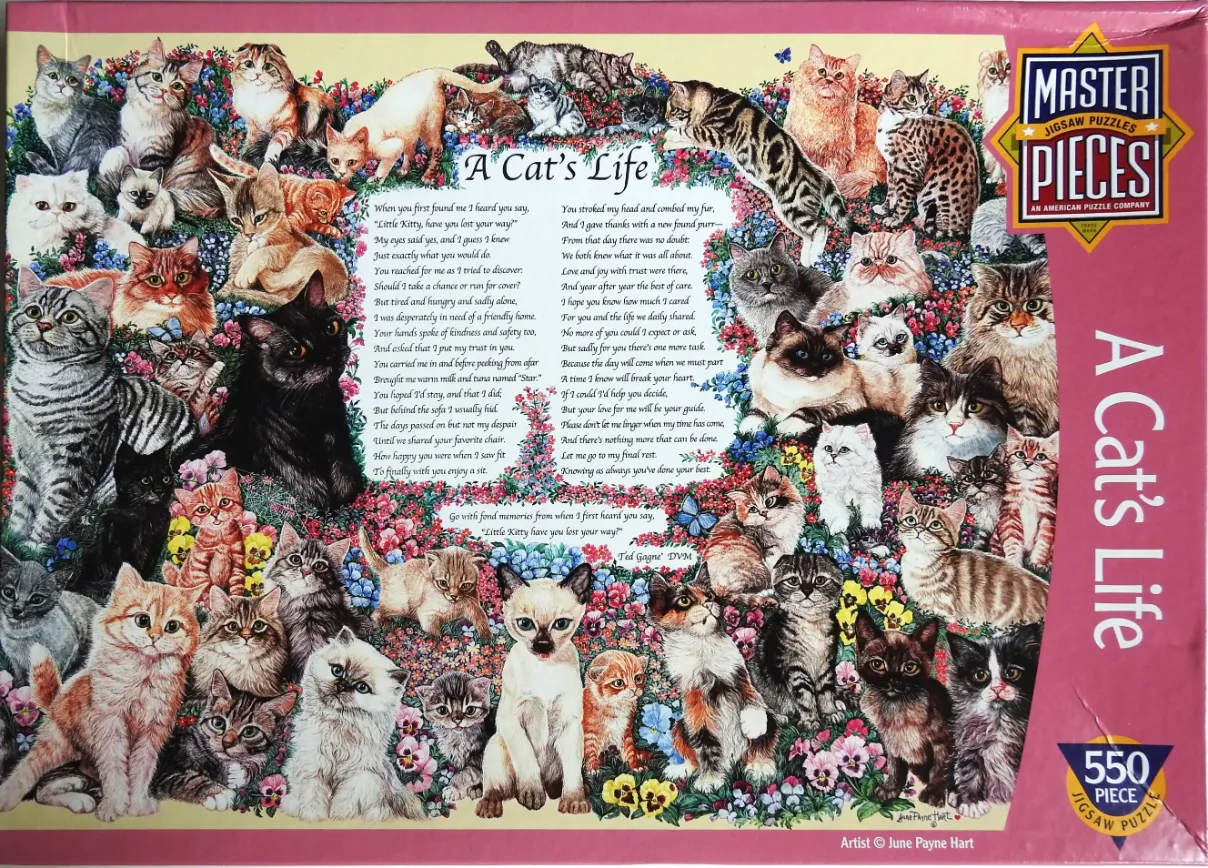 A collage of many cats of various breeds and colours sitting among colorful flowers.