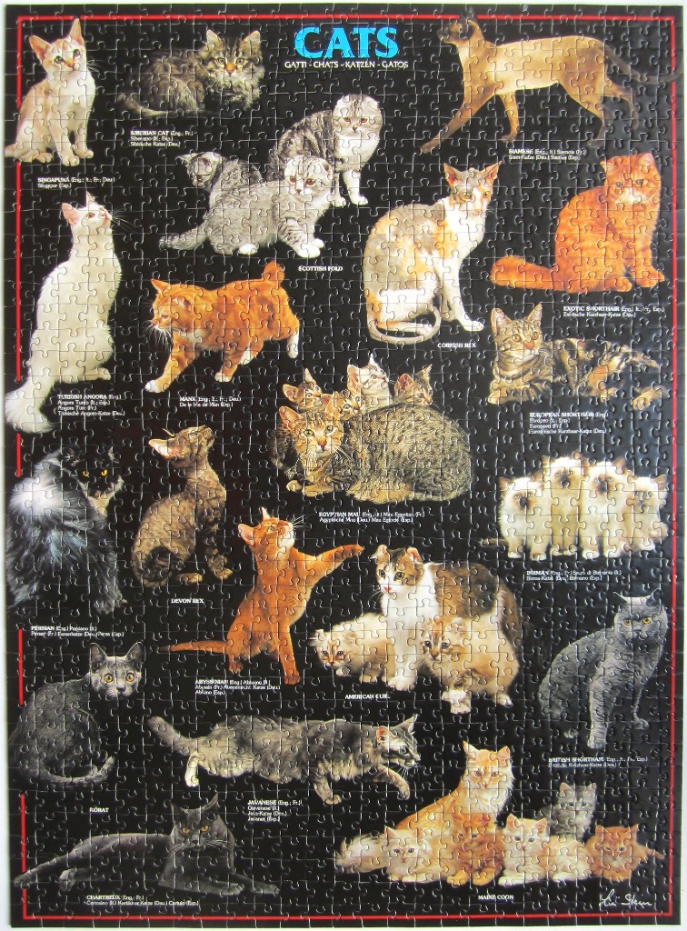 An informational chart featuring various cat breeds on a black background.