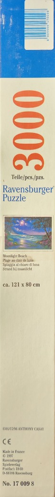 Moonlight Beach scene with glowing moon, ocean, and trees. Blue and purple tones dominate.
