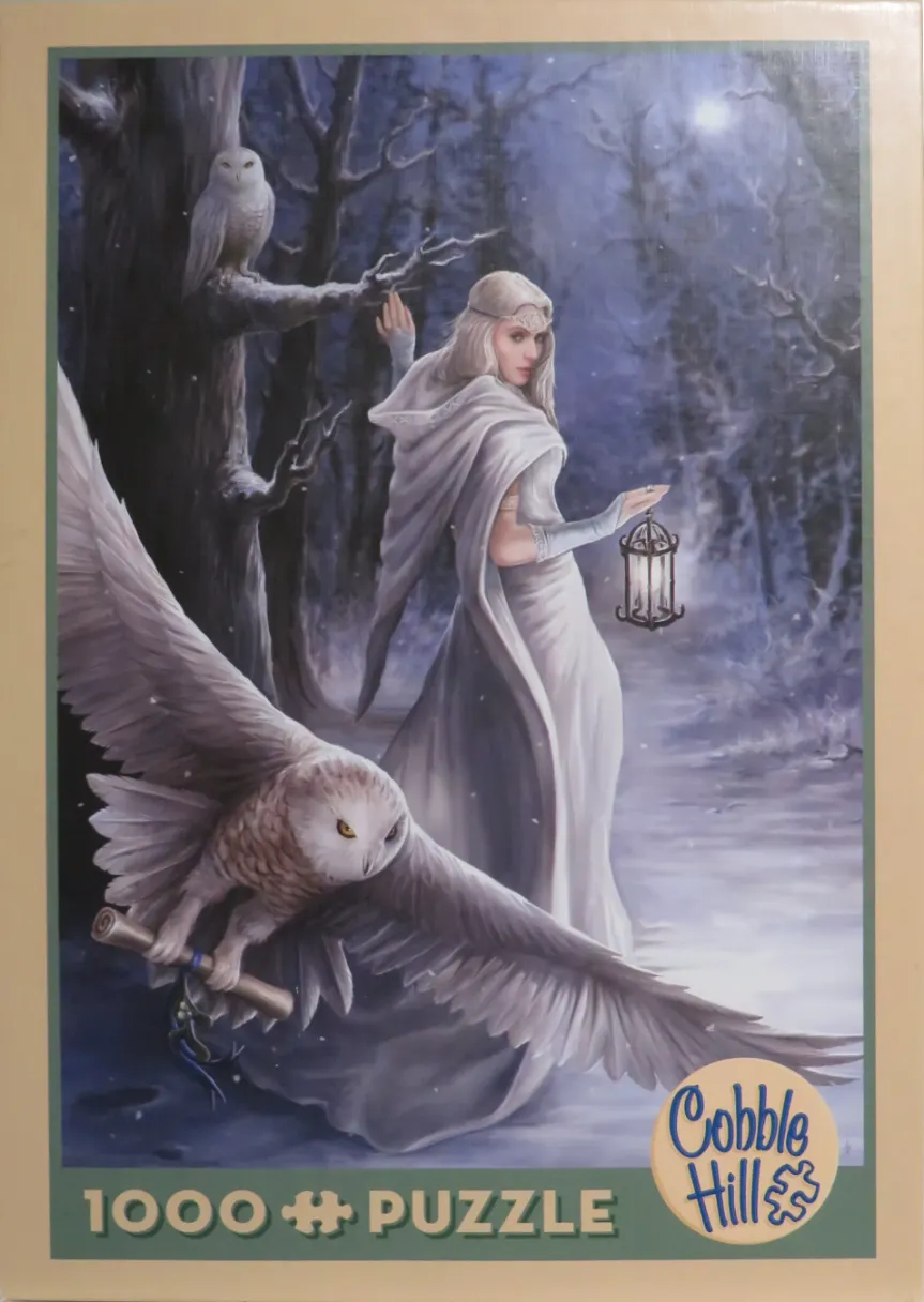 A fantasy illustration of a woman in white robes with owls in a snowy forest at night.