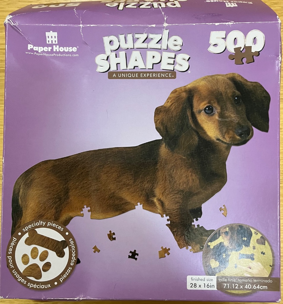 A close-up photograph of a brown long-haired dachshund puppy against a solid purple background.
