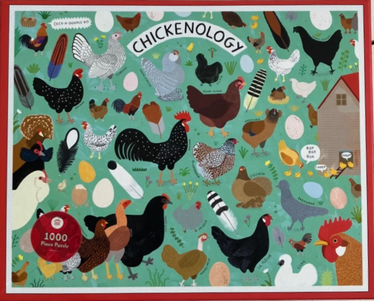 An illustrated chart of various chicken breeds in an educational style on a light green background.