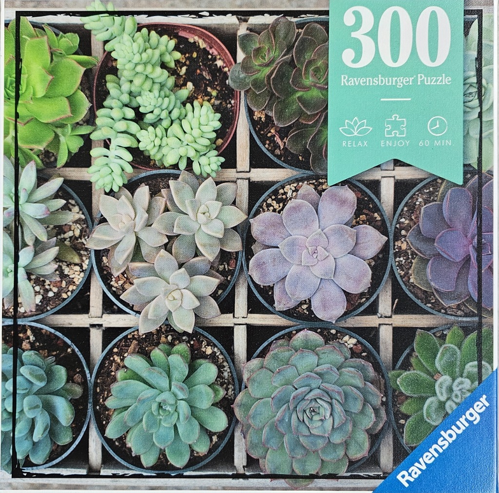 A top-down grid of various potted succulents in a wooden crate.