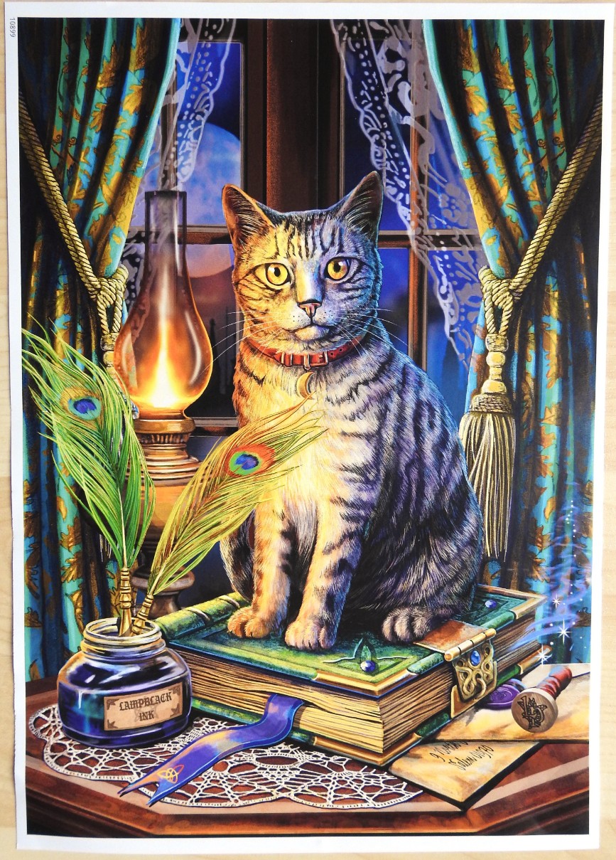 A tabby cat sitting on a large, ornate book with an inkwell, peacock feathers, and a lantern against a night window.