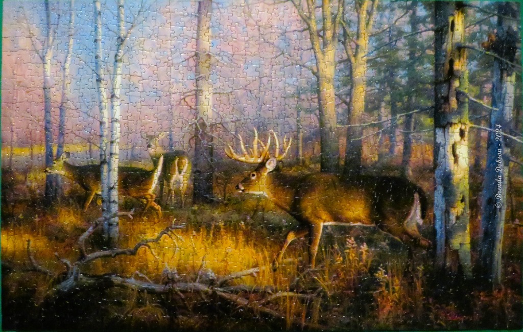 A large buck and two does in a sunlit forest clearing at dawn or dusk.