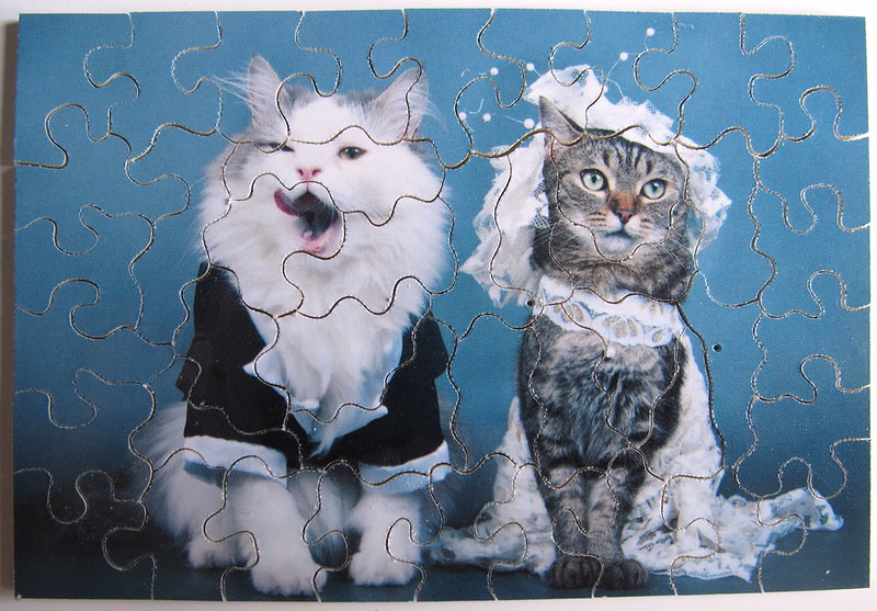 Two cats dressed as a bride and groom against a blue background.