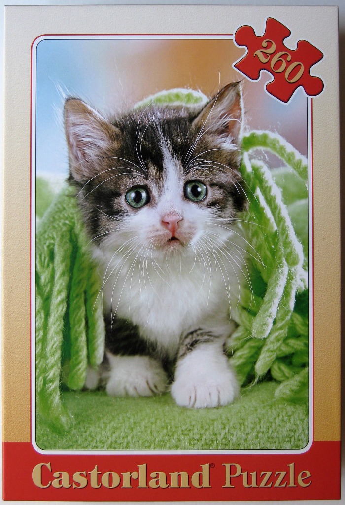 A close-up photograph of a fluffy kitten sitting inside a soft, bright green knitted blanket.