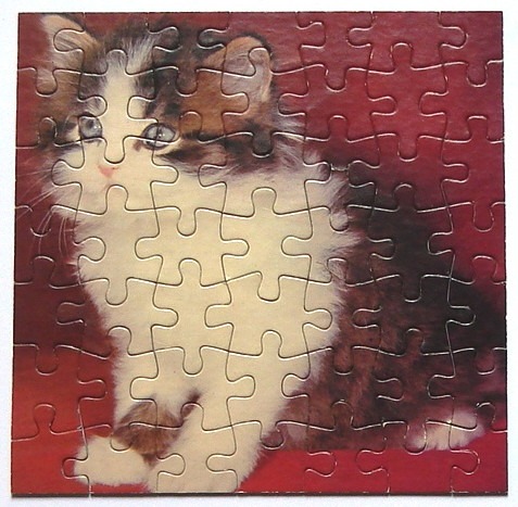 A close-up photograph of a fluffy, tri-colour kitten sitting against a deep red background.