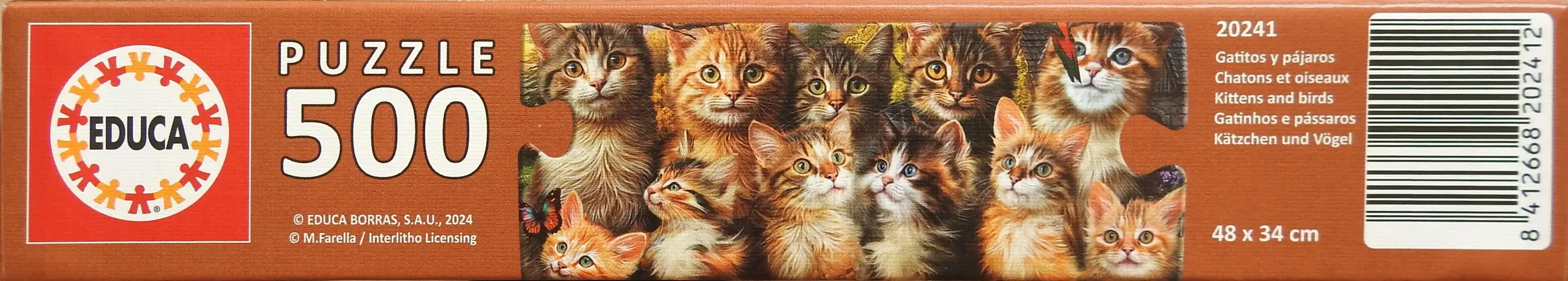Kittens and Birds