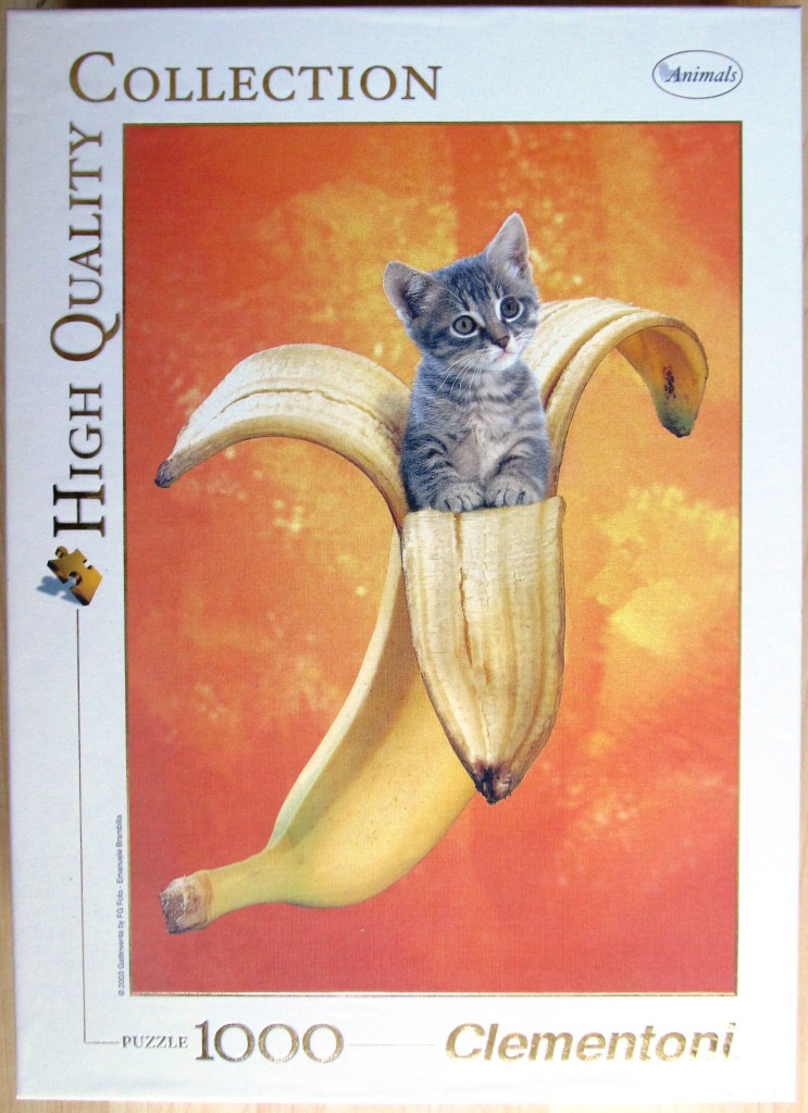 A small grey tabby kitten sitting inside a peeled banana against an orange background.