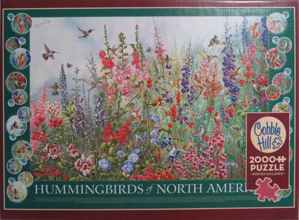 A lush garden scene filled with numerous hummingbirds hovering among tall, colorful flowers.