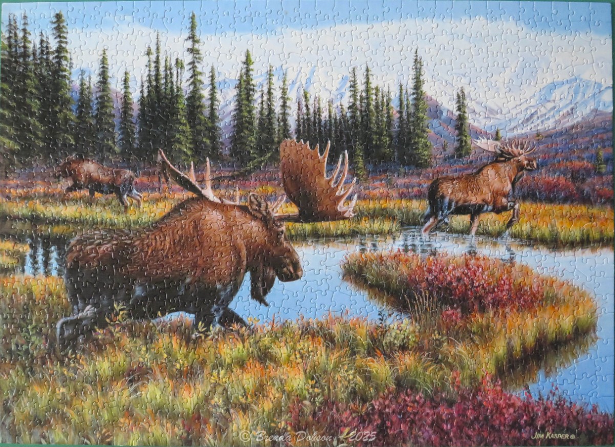Three moose wading through an autumn wetland with mountains in the background.