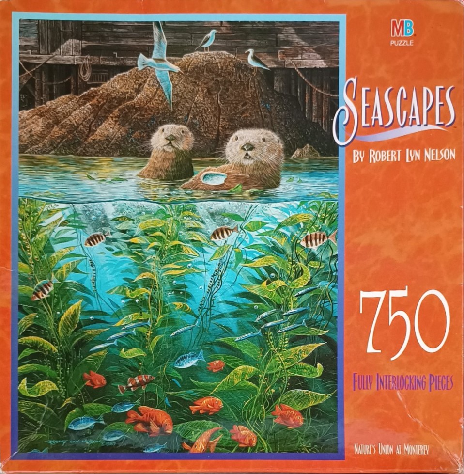 A split-view illustration of sea otters on the water surface and a vibrant kelp forest below.