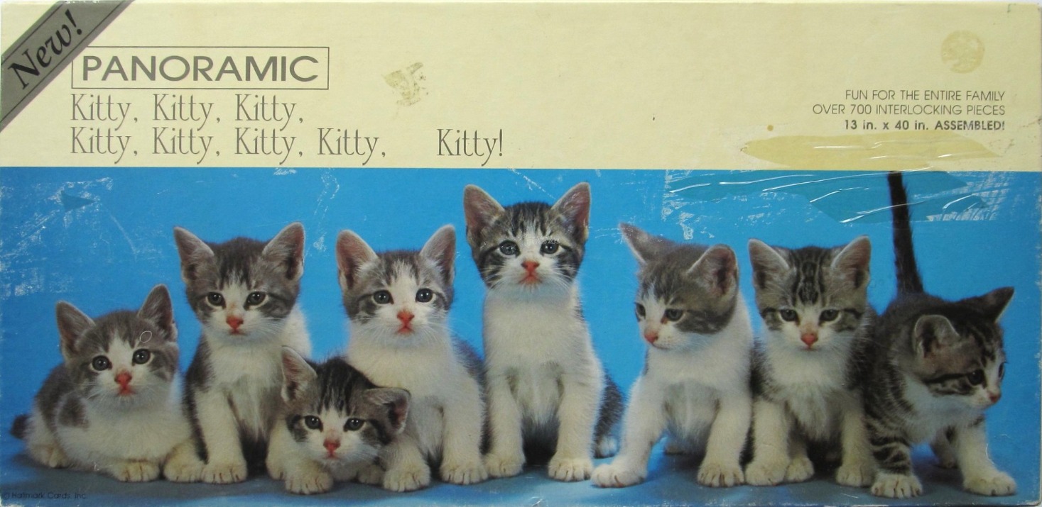 A panoramic photograph of eight tabby and white kittens lined up against a solid bright blue background.
