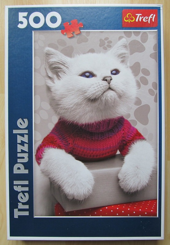 A fluffy white kitten with blue eyes wearing a pink and purple knitted sweater, resting its paws on a grey box.