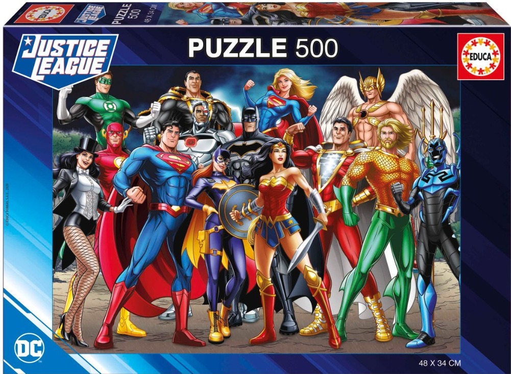 A digital illustration of thirteen DC Comics superheroes standing together in a heroic team pose.