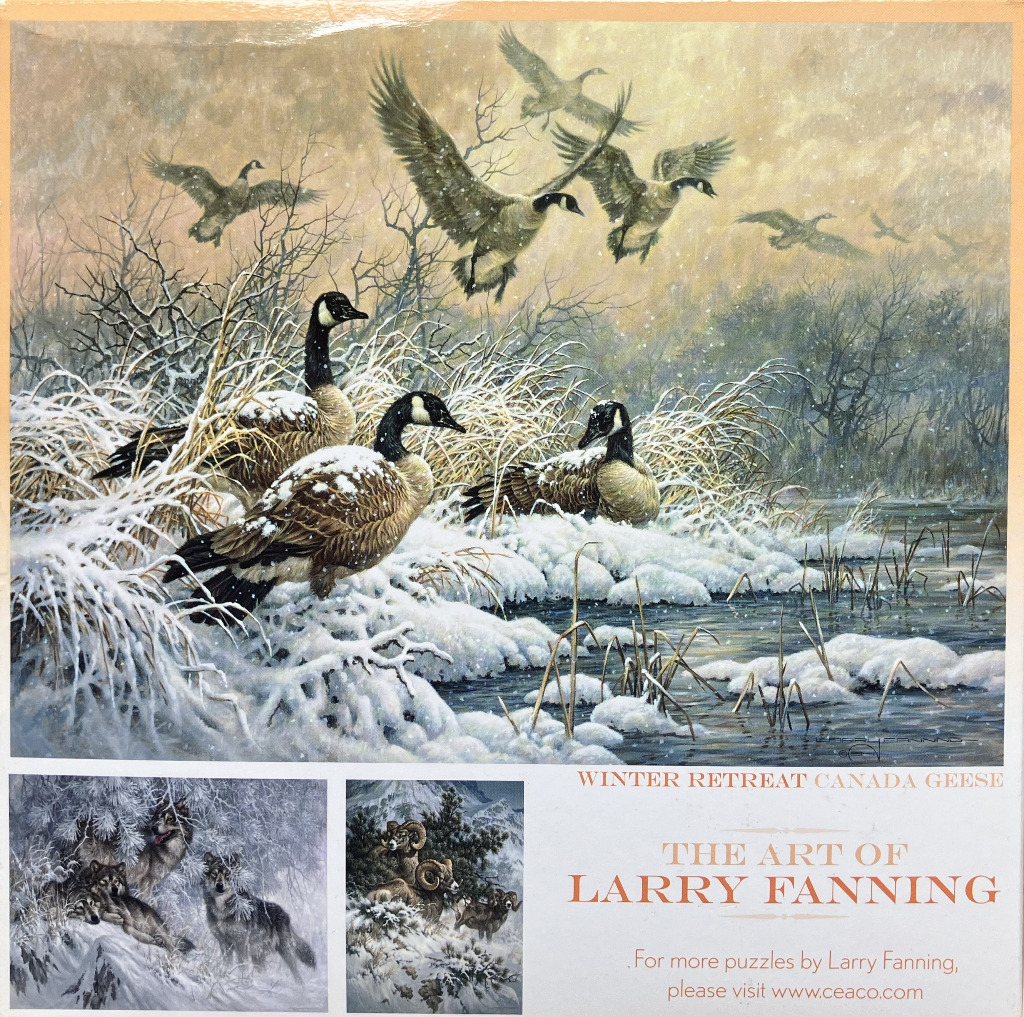 Winter Retreat Canada Geese