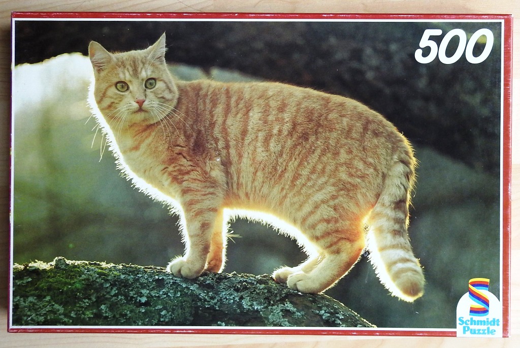 A ginger tabby cat standing on a mossy tree branch, back-lit by sunlight.