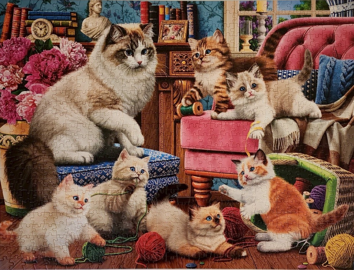 An illustration of a large fluffy cat watching five playful kittens in a cozy, book-lined room.