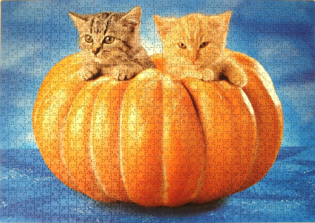 Two kittens sitting inside a large orange pumpkin against a blue background.