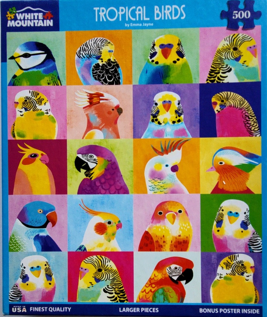 Grid of twenty stylized, colorful bird portraits against contrasting solid-colored backgrounds.