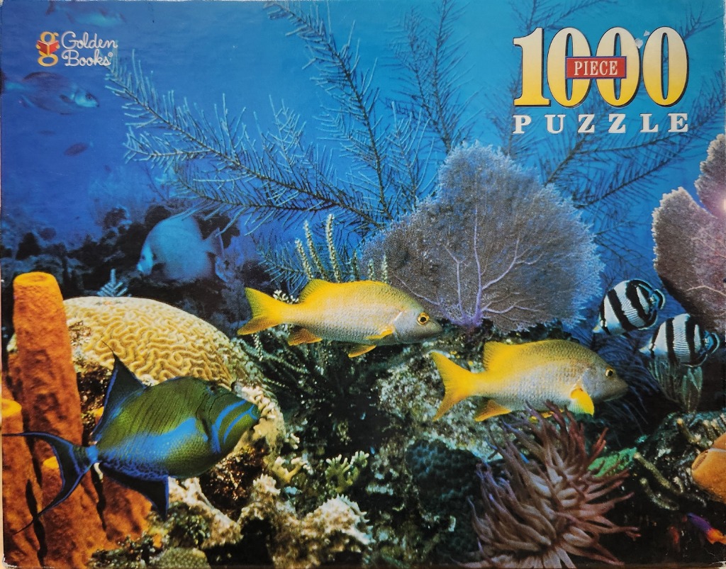Underwater scene featuring a variety of tropical fish swimming among colorful coral reefs and sea fans.