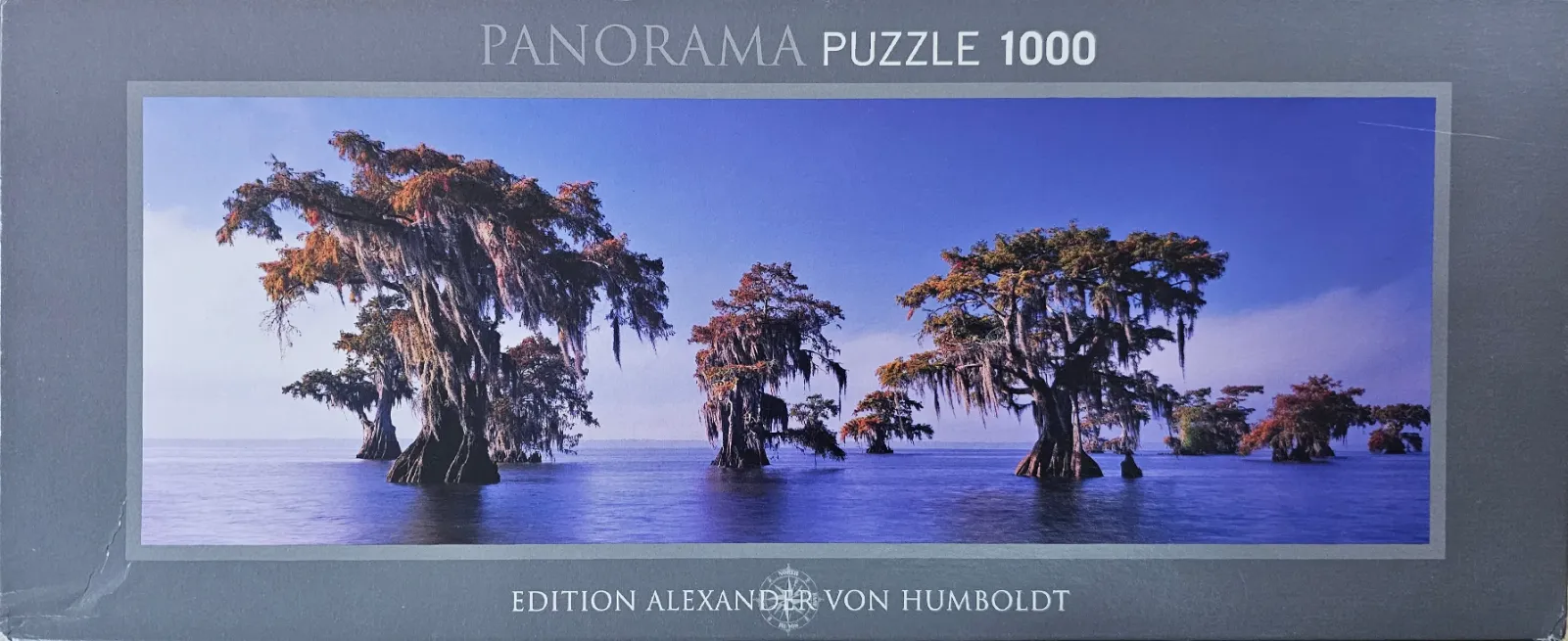 Panoramic photograph of cypress trees with Spanish moss growing in calm blue waters under a clear sky.