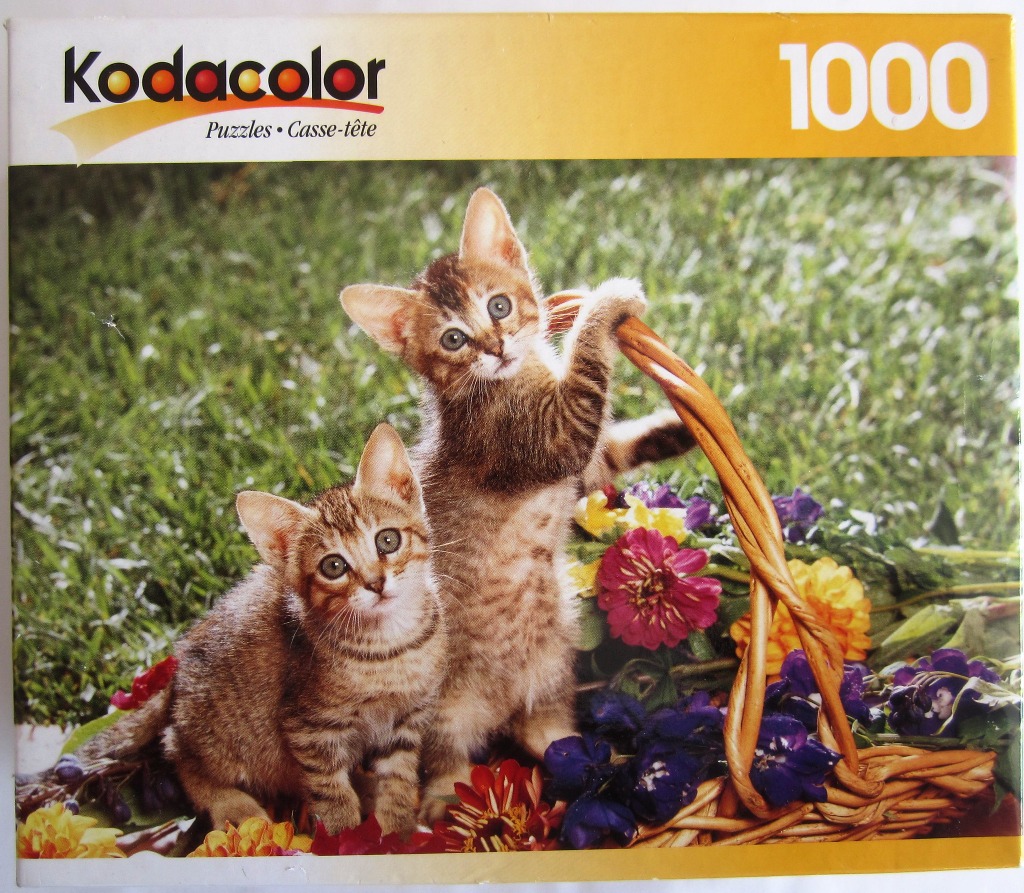 Two tabby kittens sitting in a wicker basket filled with colorful flowers in a grassy field.