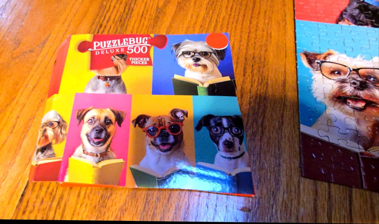 A collage of five dogs wearing reading glasses and reading books, each in a different vibrant colored square.