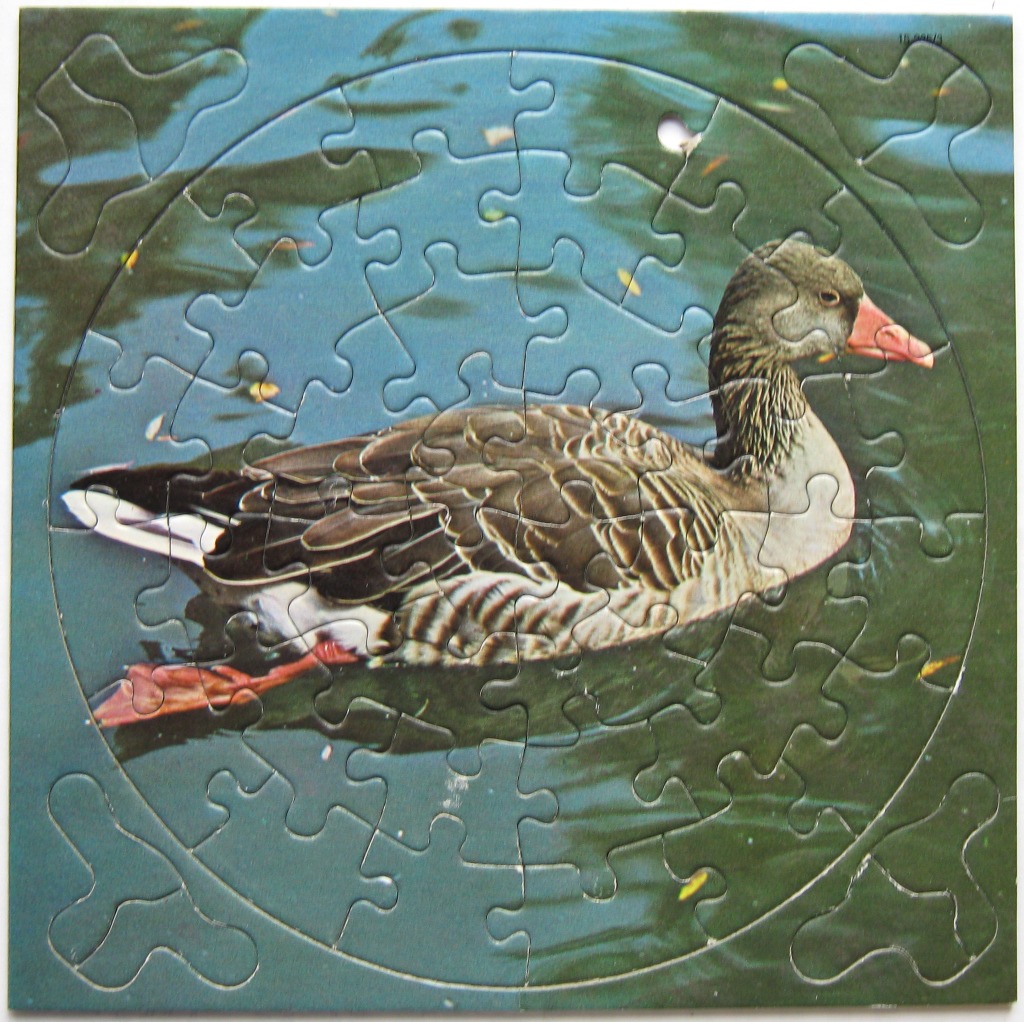 A goose swimming in green water within a circular frame on a square background.