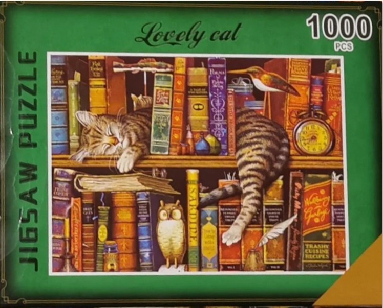 A tabby cat sleeping on a bookshelf filled with vintage books and ornaments.