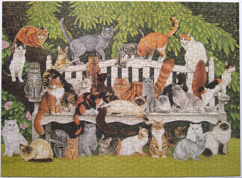 A gathering of many different cat breeds posing on and around a white wooden garden bench in a lush yard.