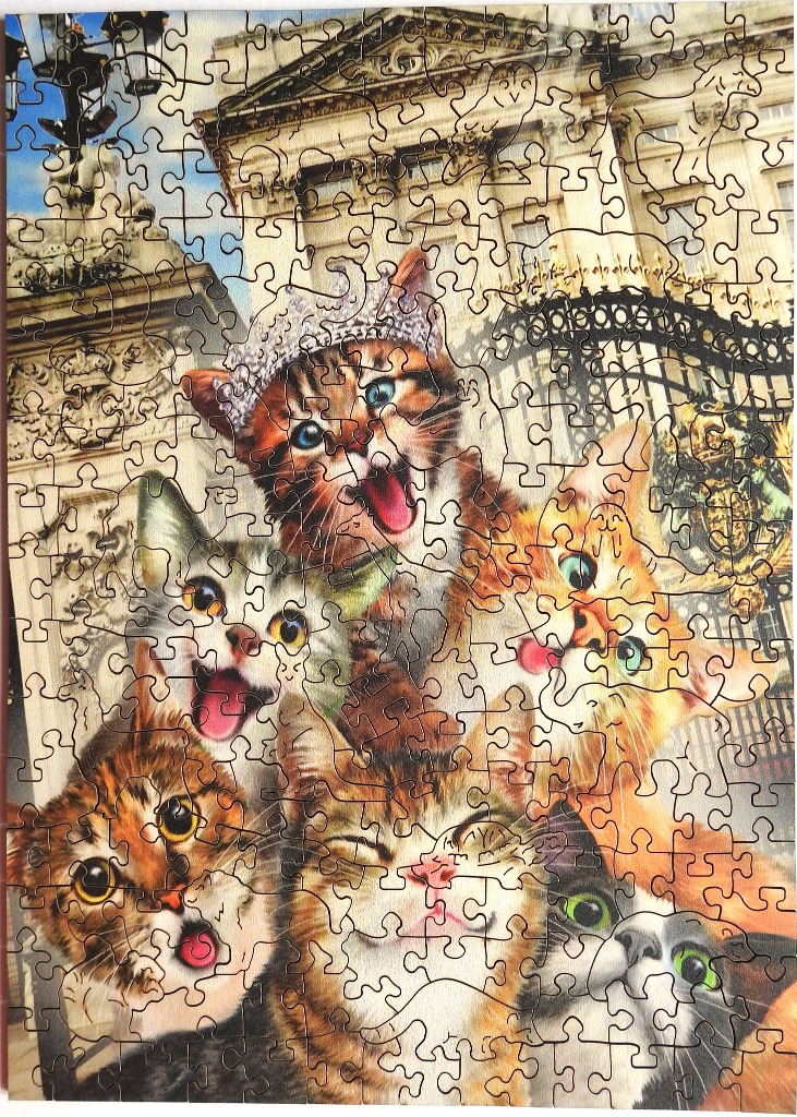 A whimsical collage of six wide-eyed kittens in front of Buckingham Palace.