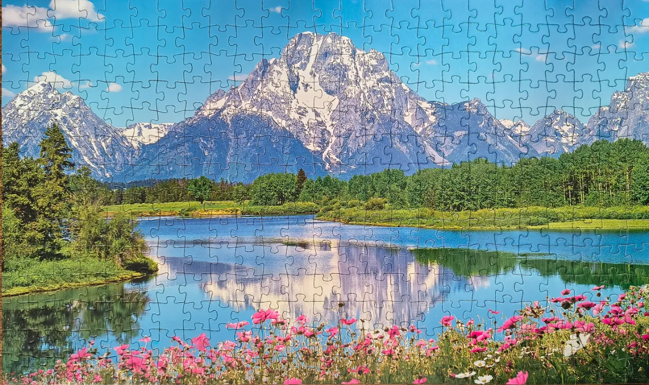 A scenic landscape of a lake reflecting snow-capped mountains with vibrant pink flowers in the foreground.