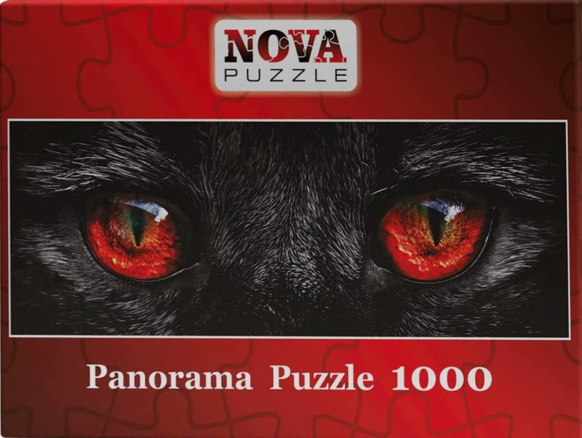 Close-up photographic portrait of a black cat with glowing, fiery red-orange eyes.