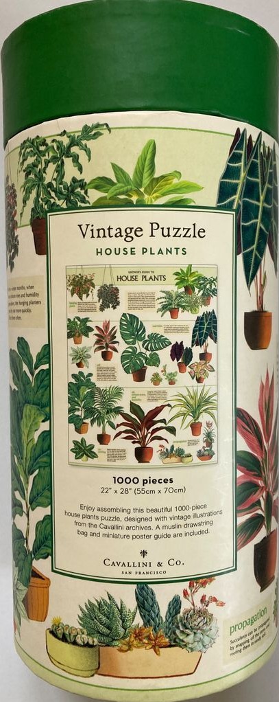 House Plants