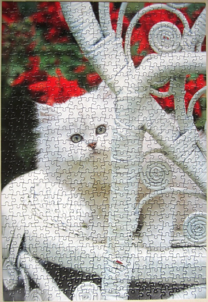 A fluffy white kitten sits behind a white wrought iron gate with red flowers in the background.