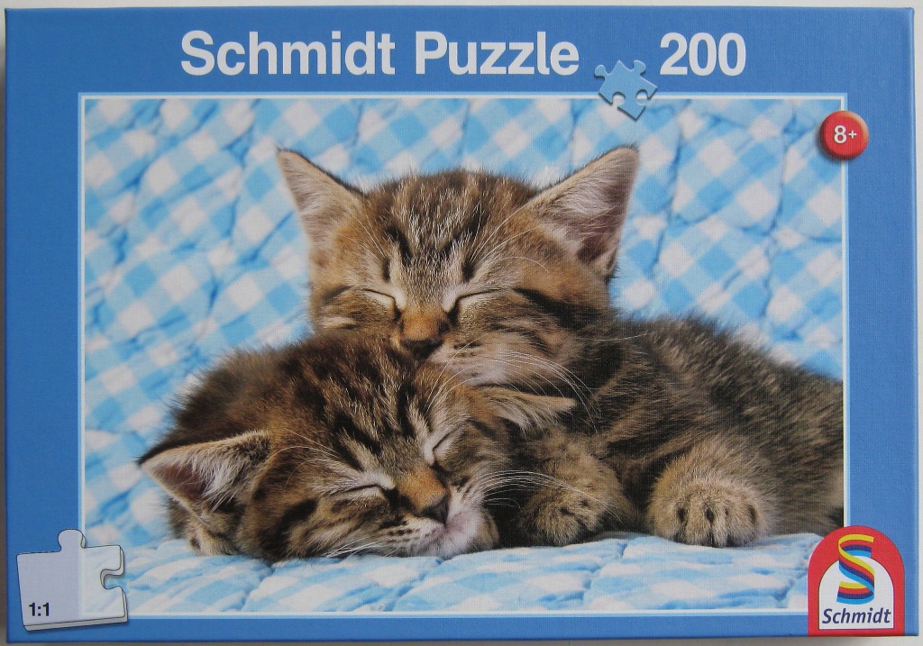 Two tabby kittens sleeping curled up together on a blue and white checkered blanket.