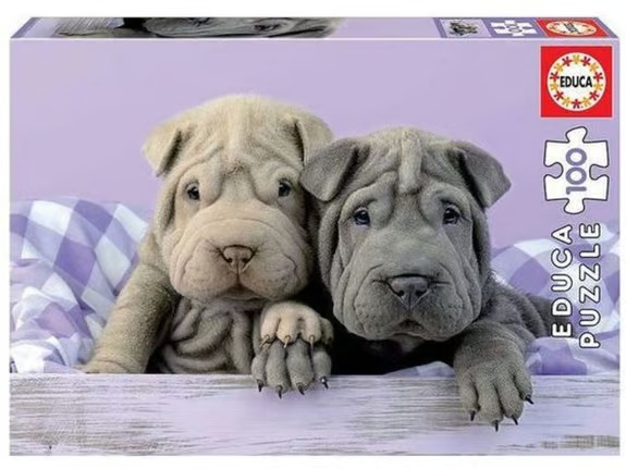 Two Shar-Pei puppies with wrinkled skin resting in a wooden crate against a purple background.