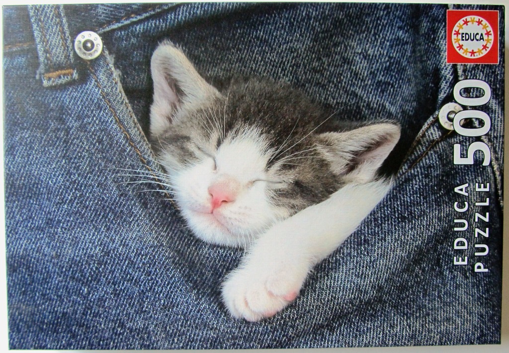 A tiny grey and white kitten sleeping soundly inside the pocket of a pair of blue denim jeans.