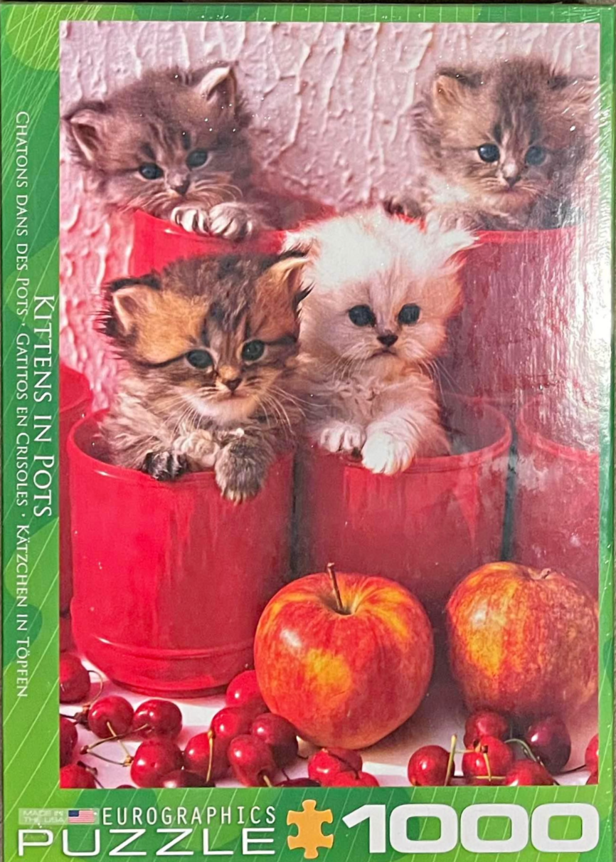 Four fluffy kittens sitting in red ceramic pots surrounded by red apples and cherries.