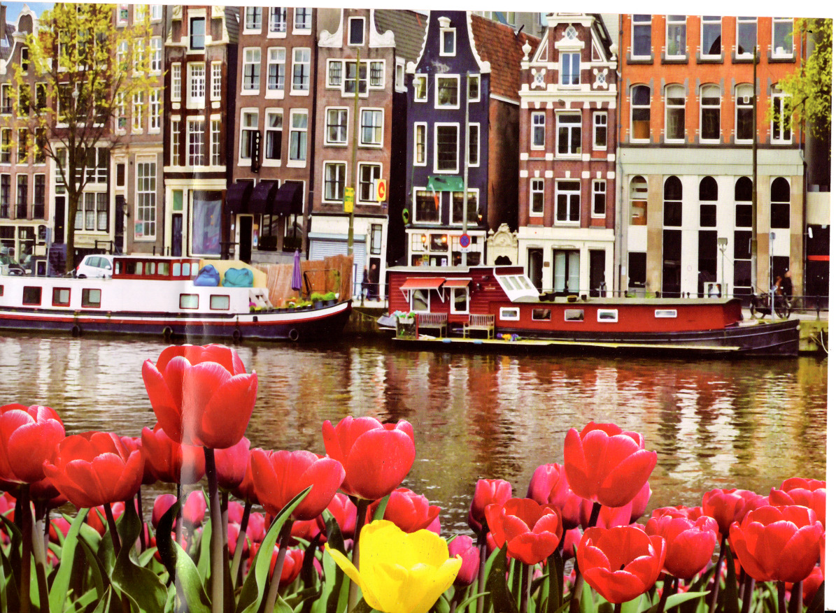 A canal scene in Amsterdam featuring a row of historic townhouses, two canal boats, and a foreground of bright tulips.
