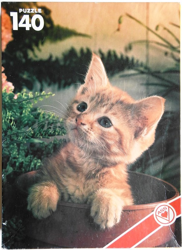 A close-up photograph of a fluffy orange tabby kitten sitting inside a brown flower pot.