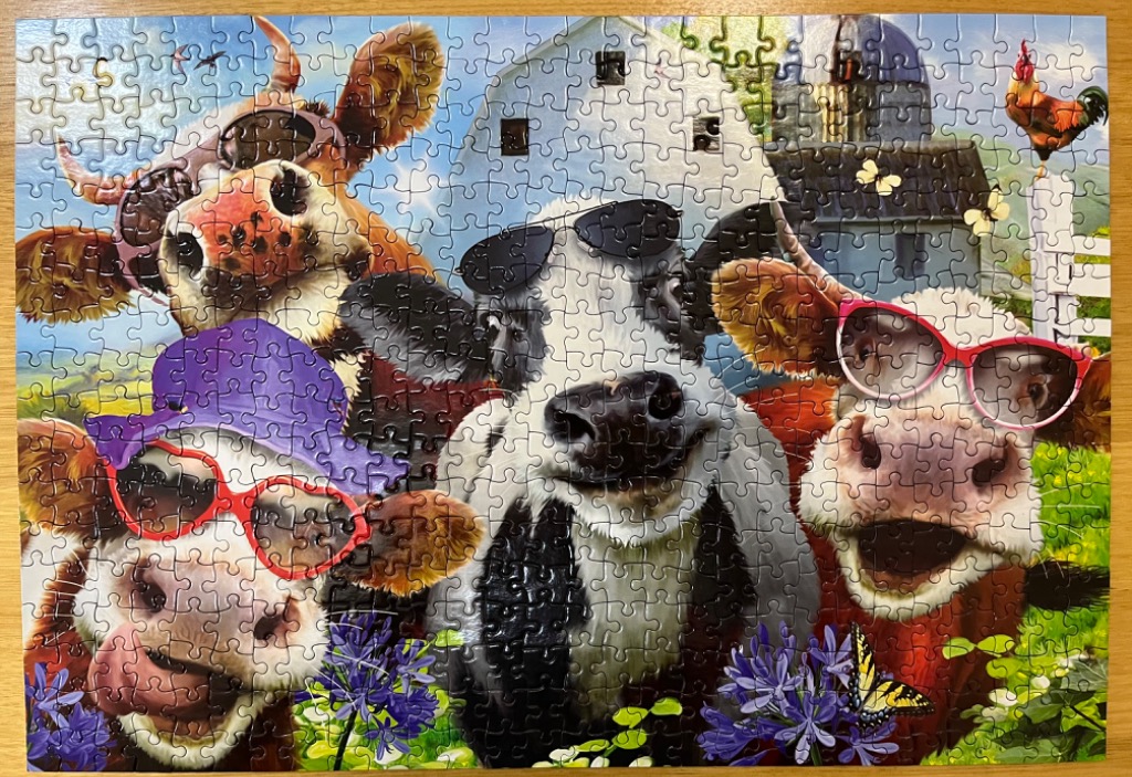 A whimsical illustration of four cows wearing sunglasses and hats on a farm